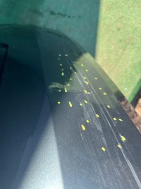 фото thumb №14, Skoda fabia iii lift 19- hb 5d кришка багажника задня