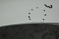 фото thumb №13, Крила правий перед opel astra j lift