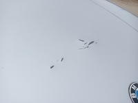 фото thumb №9, Капот кришка двигуна bmw 3 e46 sedan універсал