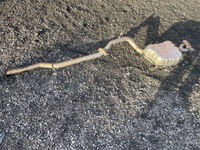 фото thumb №3, Kia sorento iii lift 2.2 crdi выхлоп гаситель труба выхлопная