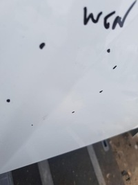 фото thumb №7, Капот крышка двигателя ford fiesta mk7