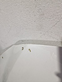 фото thumb №6, Mazda 6 gj gl 2012 - 2018 капот оригінал