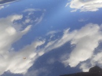 фото thumb №5, Двері ліва задня bmw e53 x5 475/9