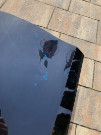 фото thumb №6, Vw golf viii 8 двері задні праве