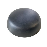 фото thumb №3, Dodge charger 2017 левая сторона другое