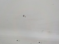 фото thumb №10, Transit mk8 15- двері праве зсувні