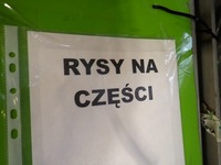 фото thumb №8, Крыло правый передний opel vivaro trafic ii 05r