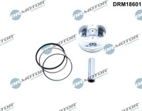 фото thumb №2, Поршень з кільцями dr.motor drm18601 120100796r renault