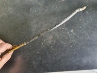 фото thumb №10, Ford щуп щуп індикатор оливи корпус оливи