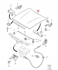 фото thumb №10, Капот ford fiesta 95-02 1014869