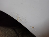 фото thumb №15, Крыло пол четверть задняя правая dacia dokker 2018r ice white bc ov369