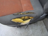 фото thumb №7, Ducato iii 10r сиденье левый водителя сиденье