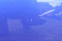 фото thumb №8, Hyundai i20 двері правий перед передні 3d