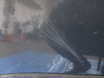 фото thumb №6, Капот крышка двигателя seat altea toledo iii цвет lw7x