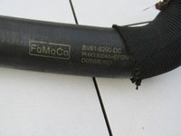 фото thumb №8, Шланг воды радиатор focus mk3 1,6 ecoboost 2011 год