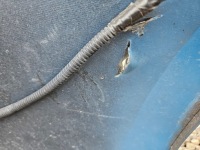 фото thumb №10, Toyota corolla e21 hb хэтчбек kombi бампер передний kompletny радар