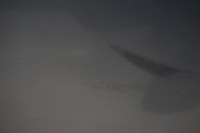 фото thumb №8, Ford mondeo mk4 hb двері лівий задня