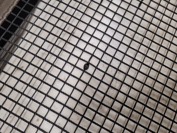 фото thumb №13, Mercedes c-klasa w204 універсал ролета сітка багажника