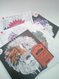 Антистрессовая раскраска с блестками, 24 листа, «Graphic Flowers»
