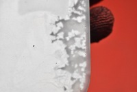 фото thumb №10, Лампа освещение салона перед 6951260 bmw e87 04-07