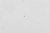 фото thumb №7, Капот кришка двигуна alpinweiss iii 300 bmw f20 11-15