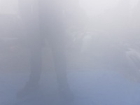 Капот mercedes c-klasa w205 c775 775 Київ, фото thumb