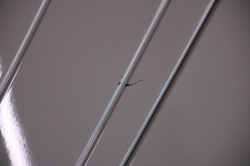 фото thumb №9, Bmw ix i20 lci бампер переднее перед м-пакет pdc жгут комплектный c7a usa