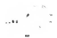 фото thumb №1, Набор трубопровод зажигания ashika 132-08-819