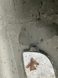 Porsche cayenne 9y бампер передній перед 9y080722 оригінал Оригінал, фото thumb