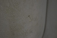 фото thumb №5, Обшивка двері лівий перед передній eu 91165801 opel vivaro a 1 i 02-06