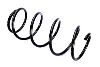 фото thumb №2, Magnum пружина підвіска 998358