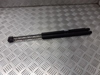 фото thumb №1, Амортизаторы амортизаторы крышки задняя renault scenic ii