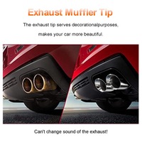 фото thumb №9, Двойной насадки трубы выпускной система трубы