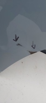 фото thumb №3, Bmw ix3 g08 двері ліва задня задні