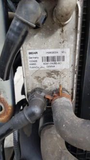 Ремінь передній ford mondeo mk4 2.0 автоматична коробка передач Зі Шроту, фото thumb