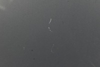 фото thumb №6, Капот крышка двигателя morska volvo s80 1 i 98-06