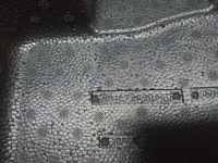 Mercedes gls x167 вкладиш багажника a1678960600 a16768077019 в Україні, фото thumb