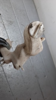 фото thumb №4, Бачок жидкость охлаждающей honda stream i 1.7b 01r