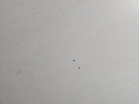 фото thumb №5, Капот передняя renault master ii 03-10 белый