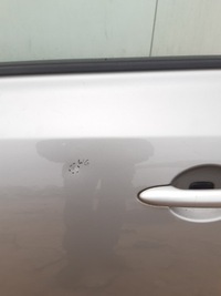 фото thumb №3, Дверь левый перед renault koleos tekxa