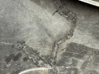 фото thumb №9, Бампер перед передній mazda ii 2 07-10 d651-50031