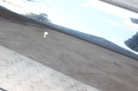 фото thumb №6, Honda civic 01-05 5d lift двері ліва передні