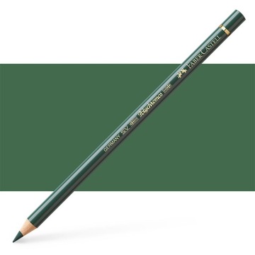 Карандаш Polychromos 165 Зеленый можжевельник