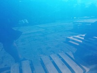 фото thumb №2, Audi q3 8u двері ліві задні зад лівий 2016r