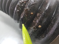 Приводной вал правый  x-drive bmw 3 gt f34 3.0 d 7597694 Недорого, фото thumb