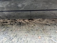 фото thumb №5, Молдинг поріг права jaguar xf s 07-11 lubelskie pel