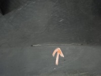 фото thumb №2, Защита молдинг крыла правый перед land rover discovery iii 2004-2009