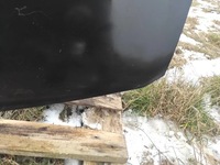 фото thumb №12, Renault megane ii 2006 капот