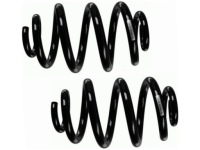 Купить Пружины задний  sachs 994 499, фото thumb