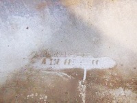 фото thumb №7, Бампер перед mercedes cla a1188800100